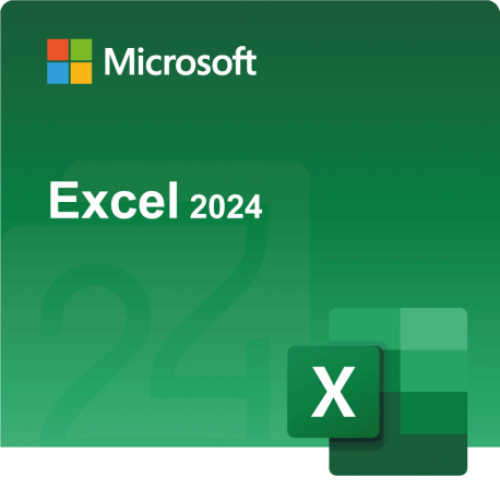 Microsoft Excel LTSC 2024 Commercial Perpetual
