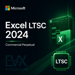 Microsoft Excel LTSC 2024 Commercial Perpetual