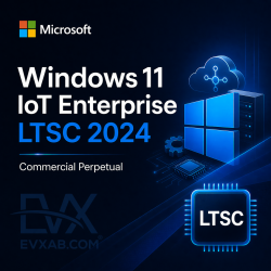 Windows 11 IoT Enterprise LTSC 2024 Commercial Perpetual