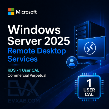 Windows Server CAL 2022 (1 User CAL)
