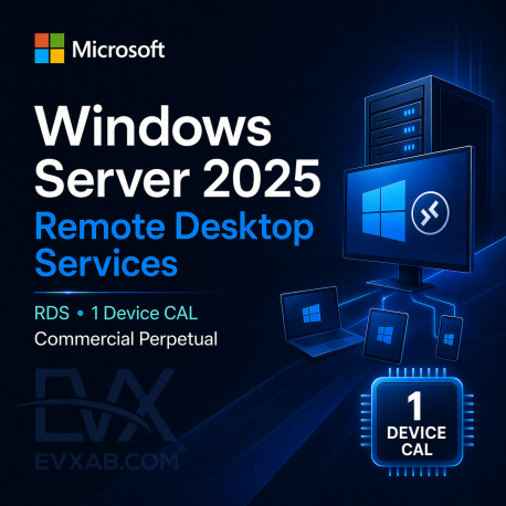 Windows Server CAL 2022 (1 User CAL)