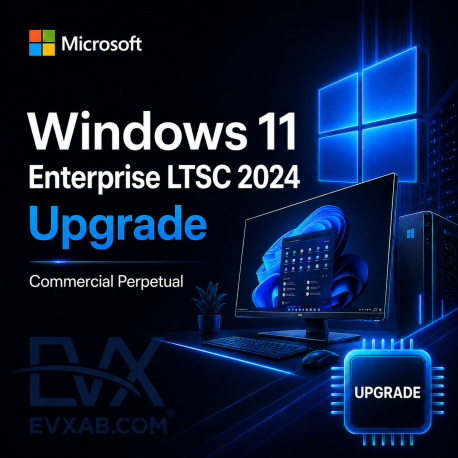 Windows 11 Enterprise LTSC 2024 Upgrade Commercial Perpetual